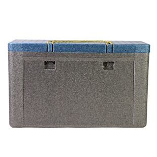 冷藏箱保温箱保鲜箱5斤10斤20斤EPP定制生鲜礼品盒冷冻储藏保鲜盒