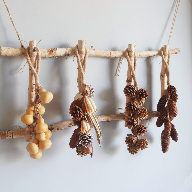 天然风干果实壁饰原宿p风格装饰品房间卧室民宿门墙上挂件松果葫