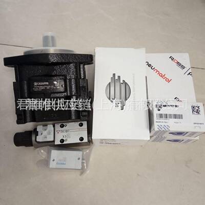 价格需核实CASAPPA泵型号：PLP20.16D5-54B5-LBE/BC-V-L-