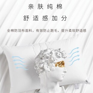 canasin酒店枕头柔软助睡w眠低枕护颈椎单人枕芯男夏季家用一对拍