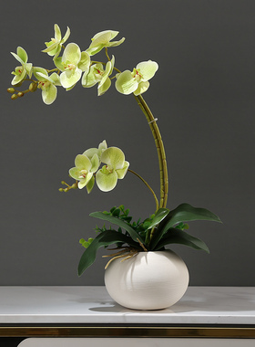 仿真蝴蝶兰花艺套装摆件新中式客厅餐桌博K古架假花桌面小盆栽装