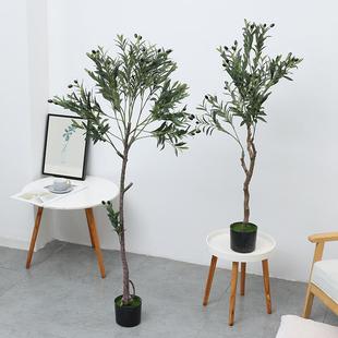 橄榄树仿真树北欧风家居客厅美化室内装饰盆栽仿真植物仿真绿植