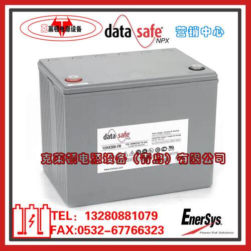 DataSafe艾诺斯蓄电池12HX300-FR/12V284W机房电源数据中心蓄电池
