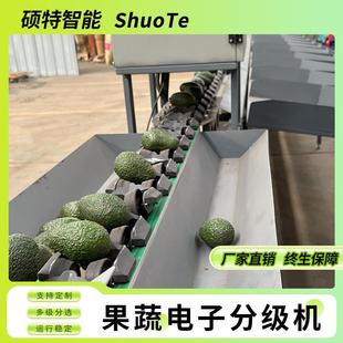 百香果称重分选机鸭梨重量分拣机茵红李选果机桃子分级机价格