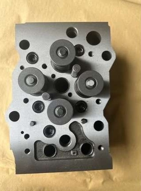 6D170-1/-2 completed cylinder head 缸盖总成