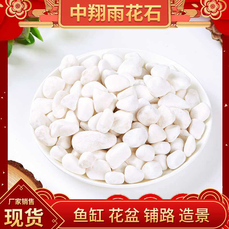 白色鹅卵石雪花白多肉盆栽铺面庭院造景鱼缸水池雨花石白色小石头