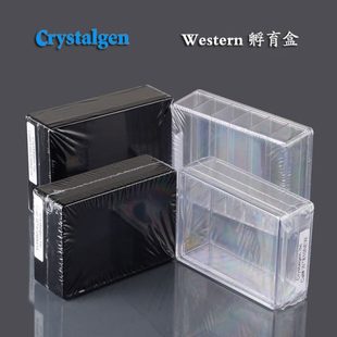 western blot抗体孵育盒灭菌透明黑色单格6格硅化处理CG科晶湿盒