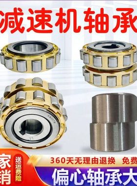 减速机偏心轴承RN307 RN205 RN206 RN309 RN312 222M摆线针轮配件
