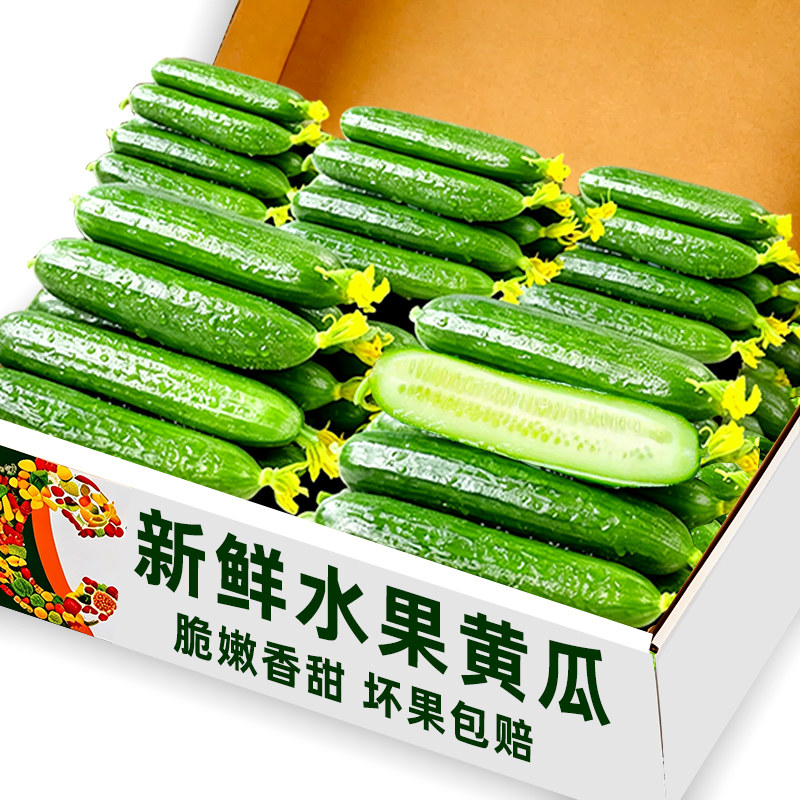 水果黄瓜新鲜生吃当季脆嫩