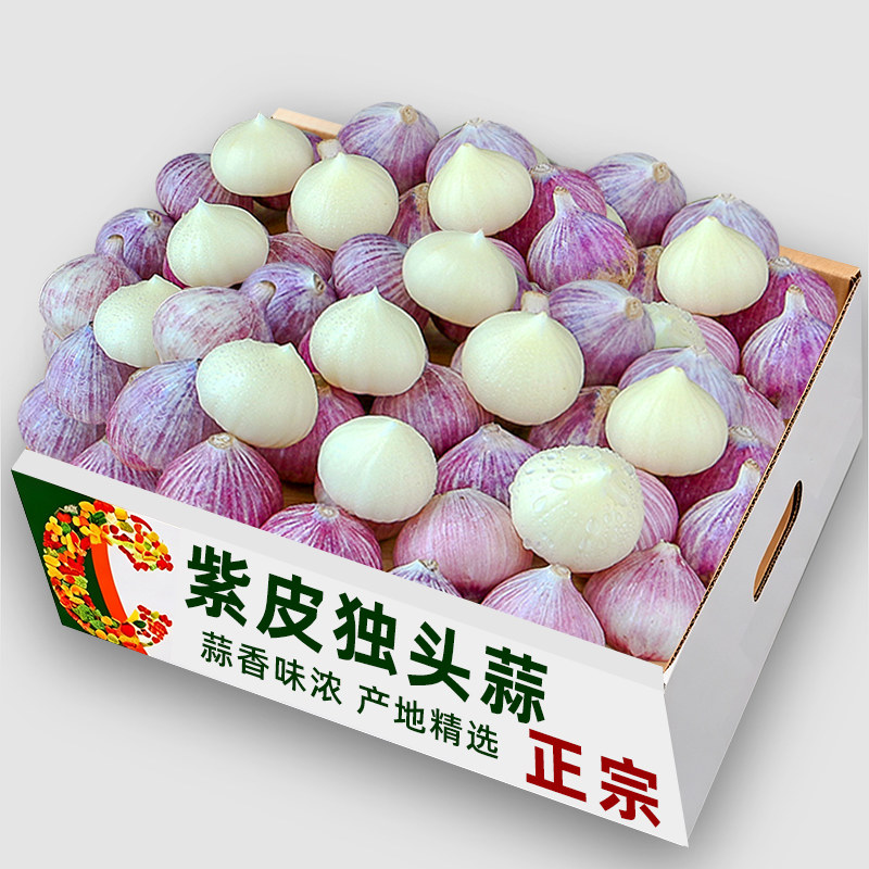 精选新鲜紫皮独头蒜紫皮蒜!