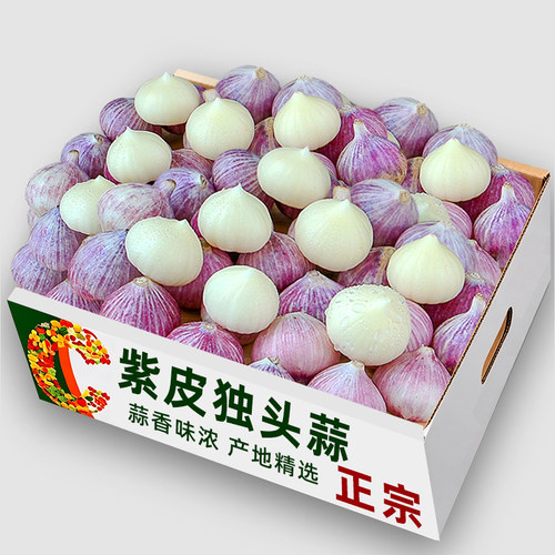 精选新鲜紫皮独头蒜紫皮蒜！