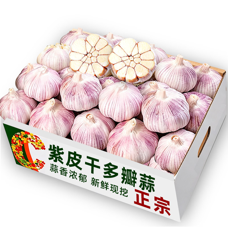 紫皮干多瓣蒜25个4cm左右大小