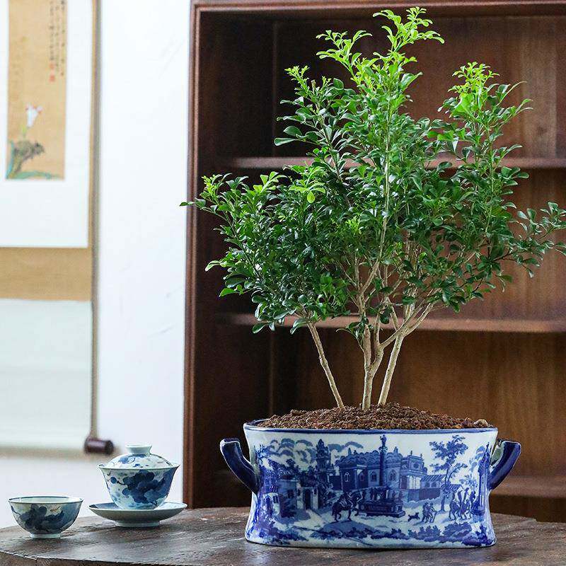 手绘山水花盆带出水孔陶瓷阳台种树大口径阳台绿植盆盆景花卉