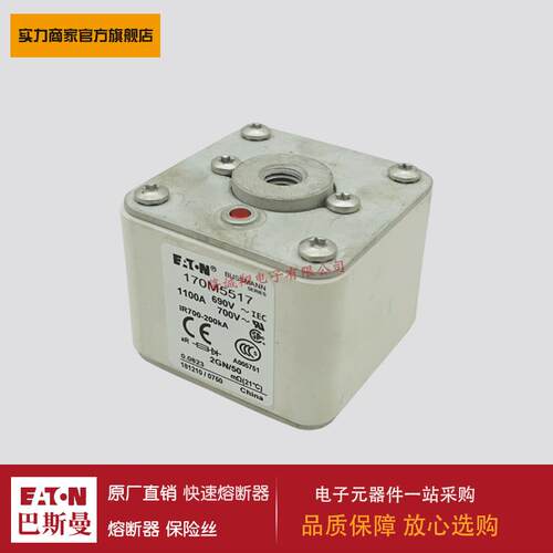 熔断器170M5558 170M5559 170M5560 170M5561 170M5562 170M5563