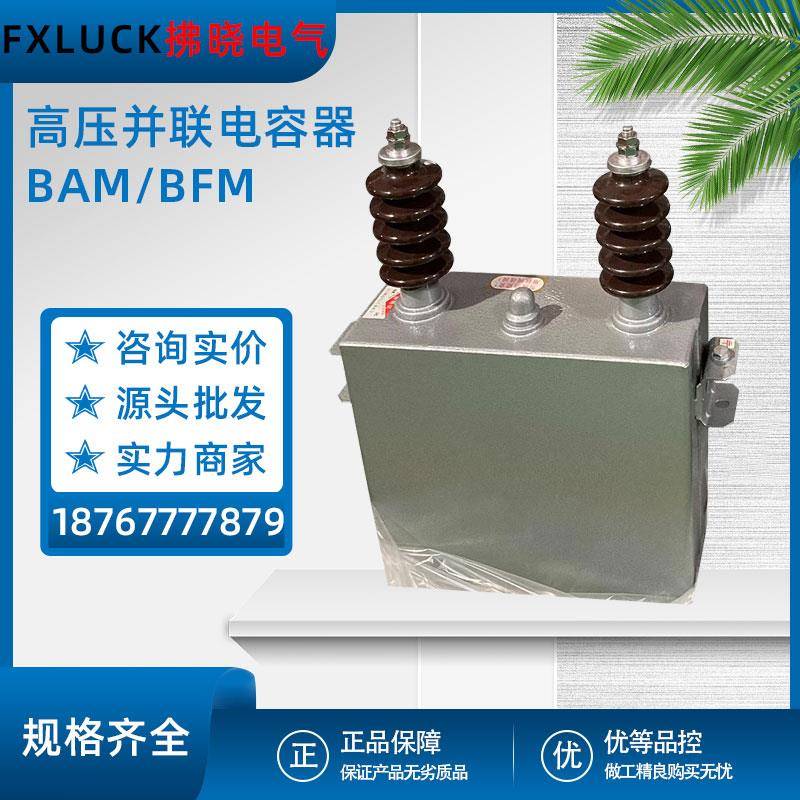 高压并联电力电容器BFM11-100-3W户外补偿BAM6.3/6.6/11/12√3-1W