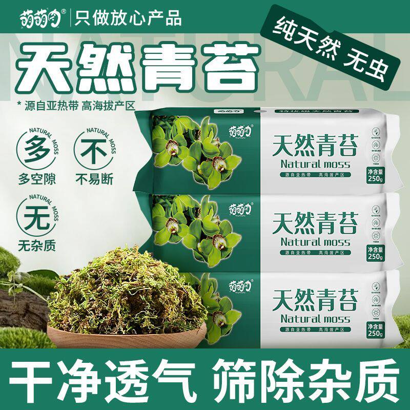 天然青苔藓蝴蝶兰花专用干水苔青苔藓营养土乌龟冬眠运输保湿透气