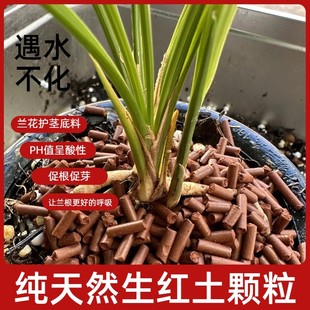 兰花专用生红土颗粒护茎土纯天然酸性生红土压缩颗粒兰花艺草可用