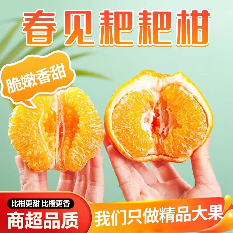 正宗眉山春见耙耙柑桔自然成熟新鲜应季水果香甜爽口爆汁鲜嫩皮薄,水产肉类/新鲜蔬果/熟食,桔子,淘宝优惠券,粉丝福利购,淘宝优惠卷