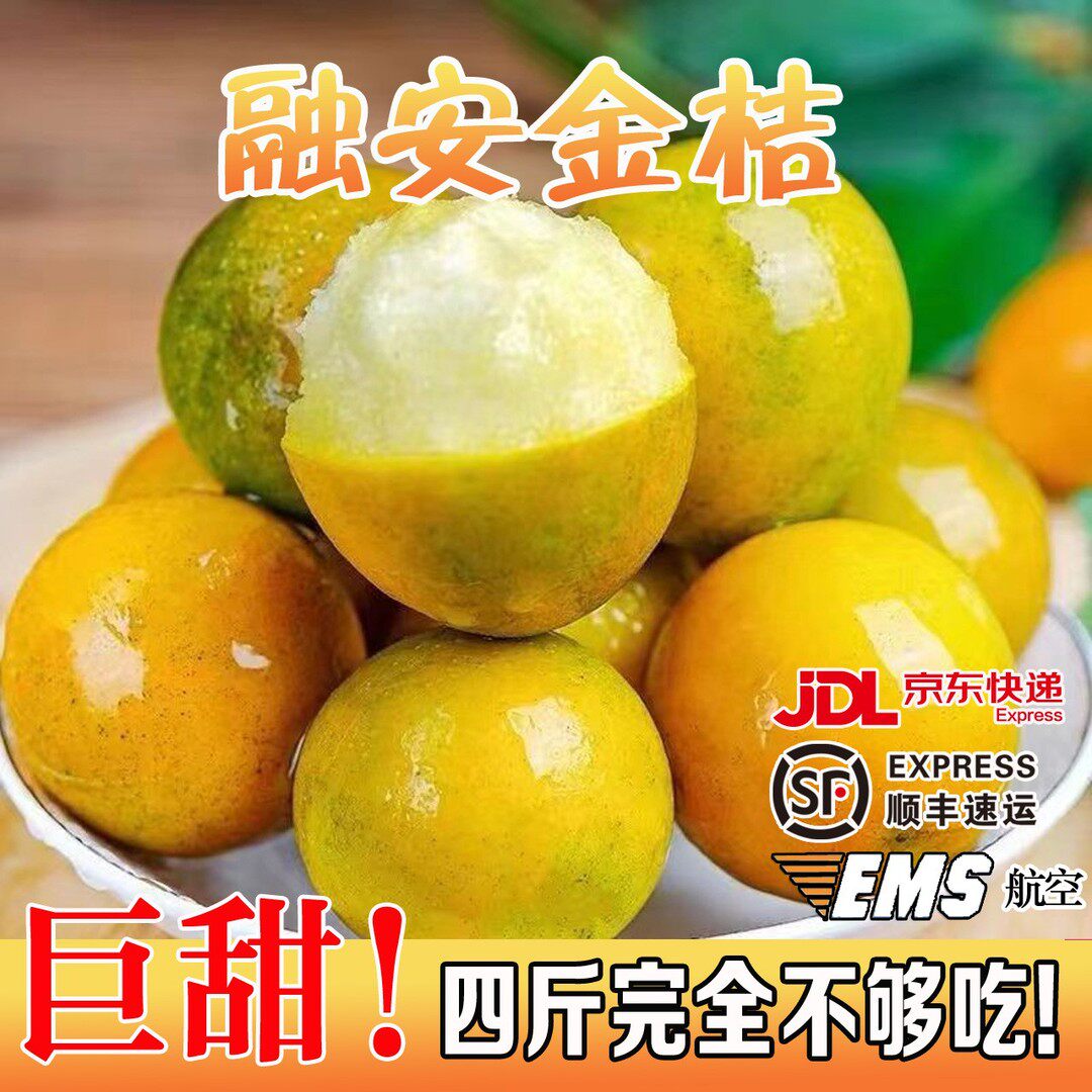 第二代融安滑皮金桔新鲜桔子应当季现摘水果蜜金柑桔纯甜带皮吃