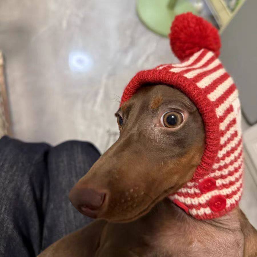 腊肠犬帽子冬日毛孩美拉德狗狗猫咪宠物圣诞装手工编织毛线可爱过