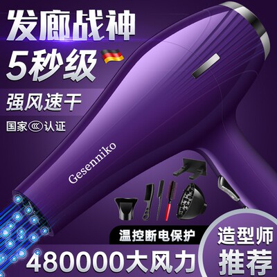 吹风机大功率5000理发店专用3800家用大风力9900负离子发廊速干W