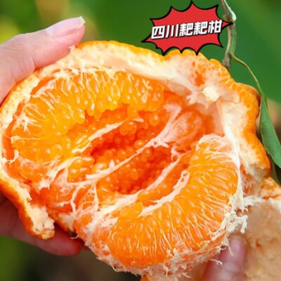 四川耙耙柑脆甜多汁应季新鲜果园直发坏果包赔现摘现发