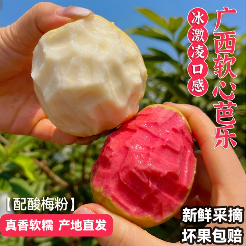正宗草莓红心软芭乐冰淇淋奶油番石榴品种老树熟果新鲜低糖