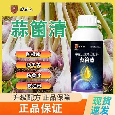 大蒜种植专用蒜菌清原液膨大增产生根壮苗预防干尖黄叶正品叶面肥