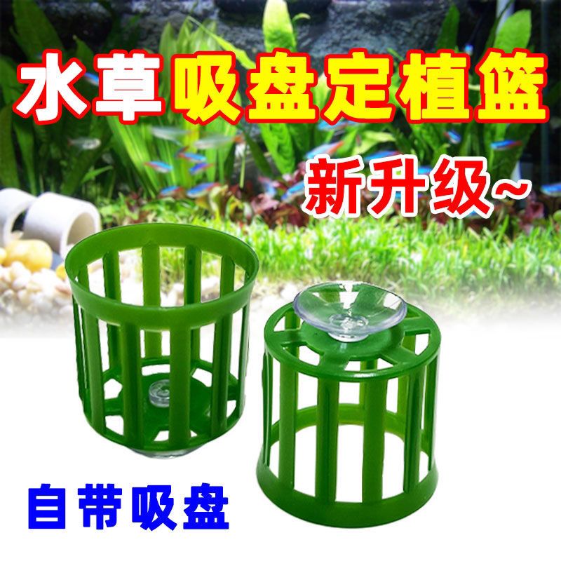 水草定植篮吸盘固定三件套沉底吸盘底座水培固定器种植蓝鱼缸造景