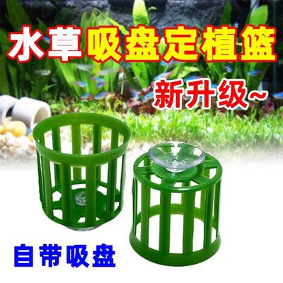 水草定植篮吸盘固定三件套沉底吸盘底座水培固定器种植蓝鱼缸造景