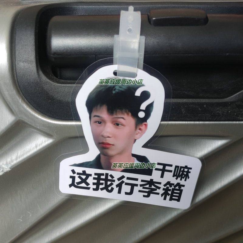 十个勤天行李牌应援包挂赵一博小童李昊书包吊牌挂件明星周边,服饰配件/皮带/帽子/围巾,包挂件,淘宝优惠券,粉丝福利购,淘宝优惠卷