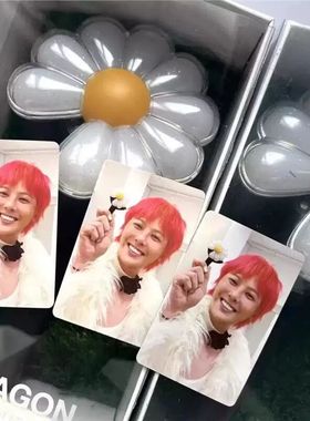 【可连APP中控】饭制权志龙GD棒小小雏菊花盆荧光棒BIGBANG应援棒