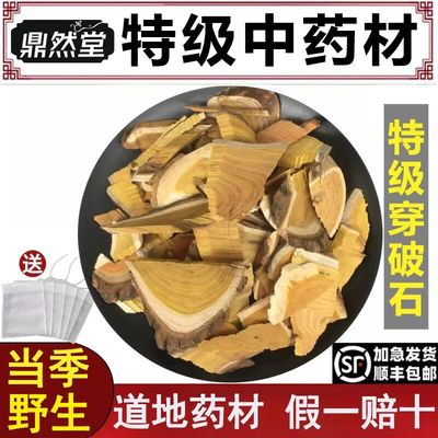 特级穿破石道地药材广西野生川破石根部地棉根九层皮石柘根