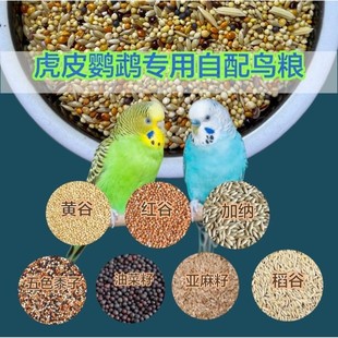 虎皮鹦鹉大头欧血鹦鹉自配种子粮谷子黍子加纳亚麻籽虎皮鹦鹉鸟粮
