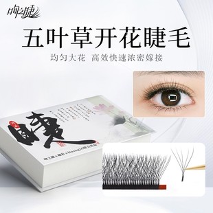 吻之睫五叶草睫毛嫁接美睫店专用C翘度 D翘度新款5叶草超软不散根
