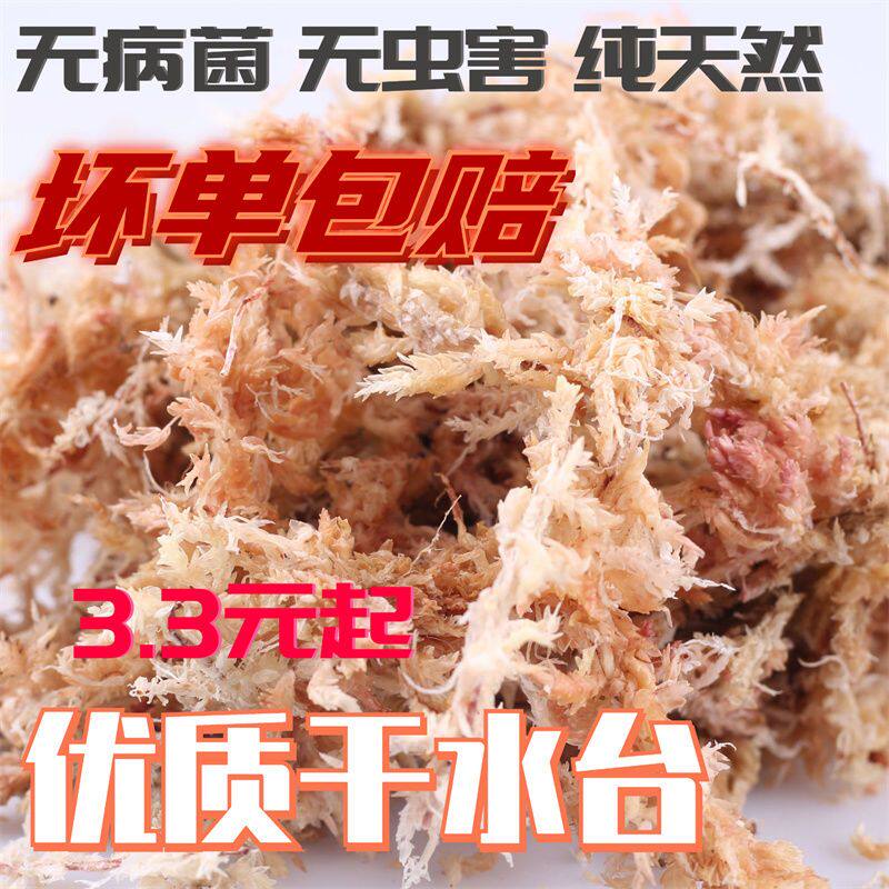 干水苔藓专用龟蛇冬保湿眠垫材蝴蝶兰兰花无菌透气