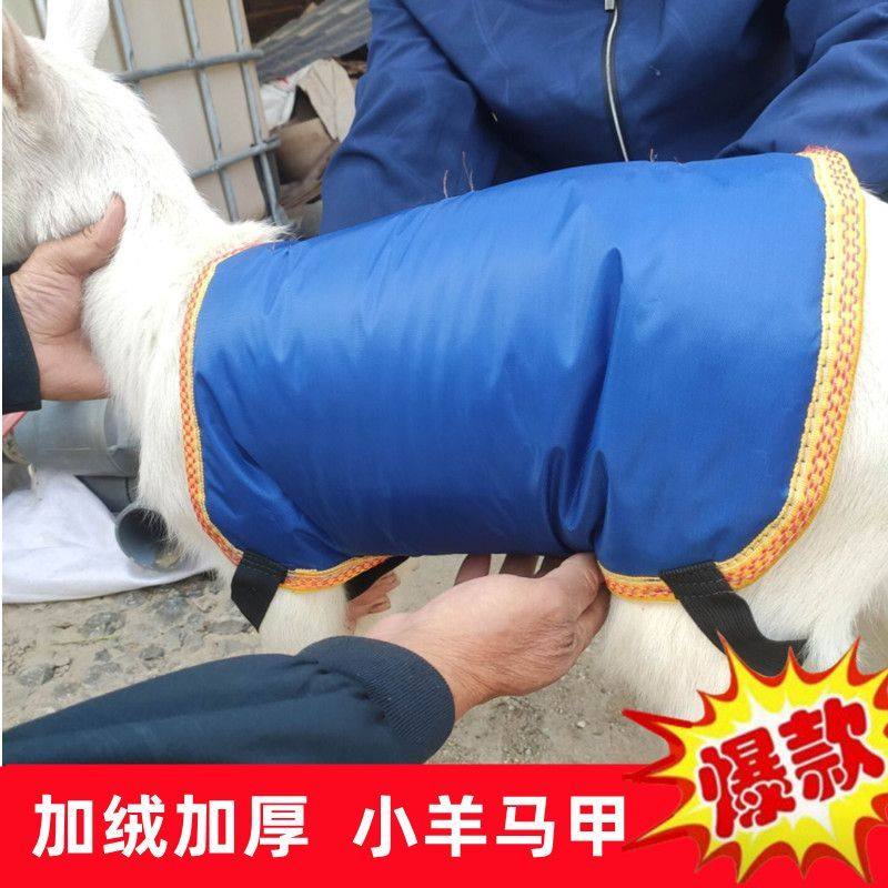 小羊羔保暖马甲大羊保暖马甲公母羊防寒衣冬季加绒加厚小山羊马甲,畜牧/养殖物资,畜牧/养殖器械,淘宝优惠券,粉丝福利购,淘宝优惠卷