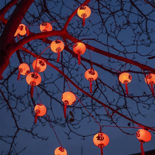 挂在树上的灯户外庭院花园阳台挂树小红灯笼春节过节发光灯笼灯串