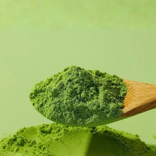 可试吃10g羽衣甘蓝粉500g/1000g