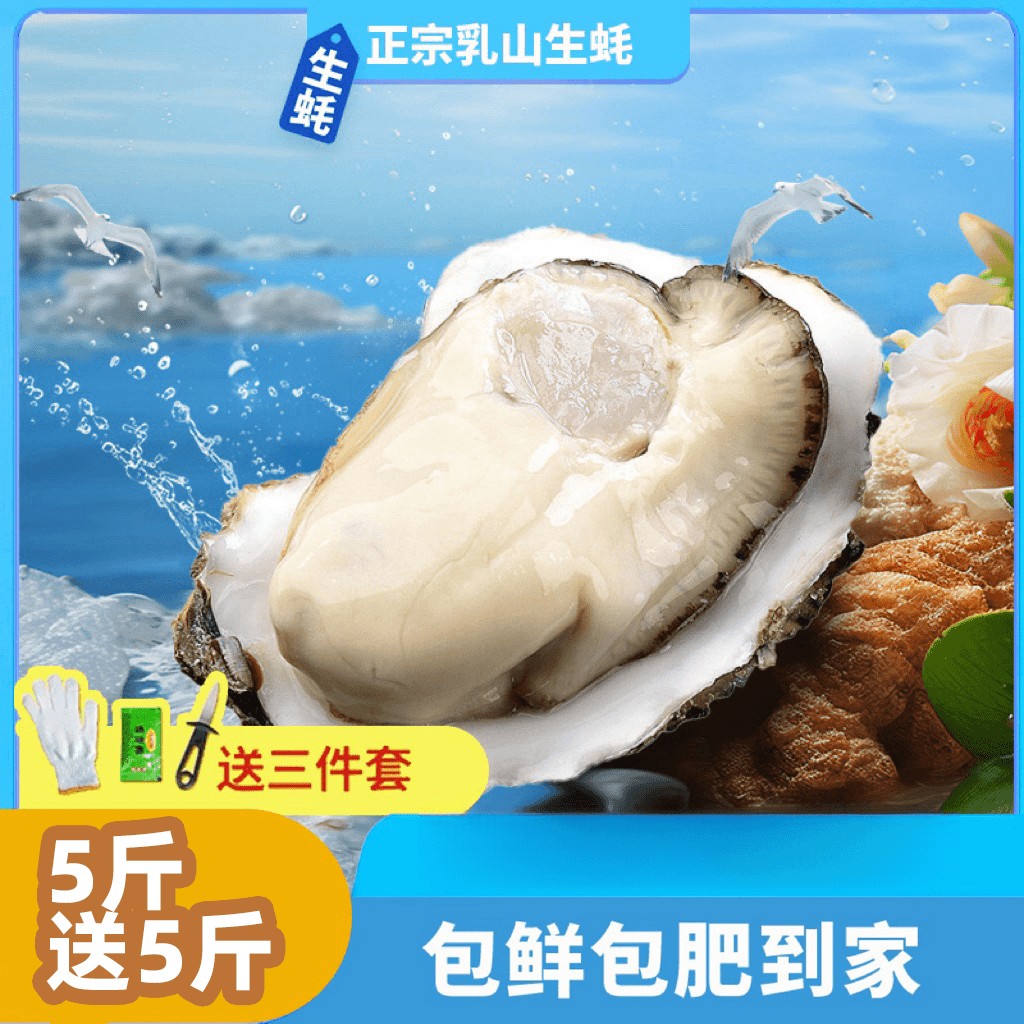 买五斤送五斤 蚝霸霸专属新鲜正宗乳山生蚝牡蛎精品海蛎子冷水蚝