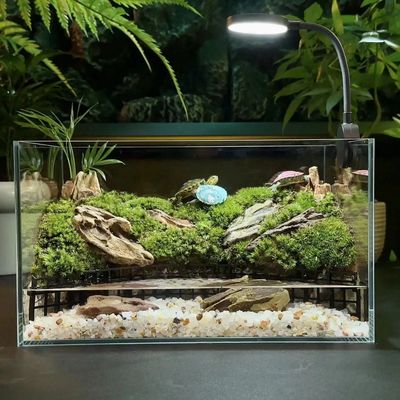 超白缸养乌龟专用缸水陆微景观水族鱼缸DIY造景缸生态缸水陆两栖