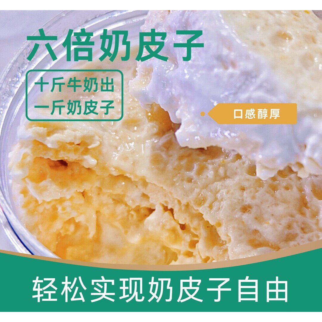 内蒙奶皮子超级加倍多倍plus老酸奶纯厚酸奶多层皮子酸奶