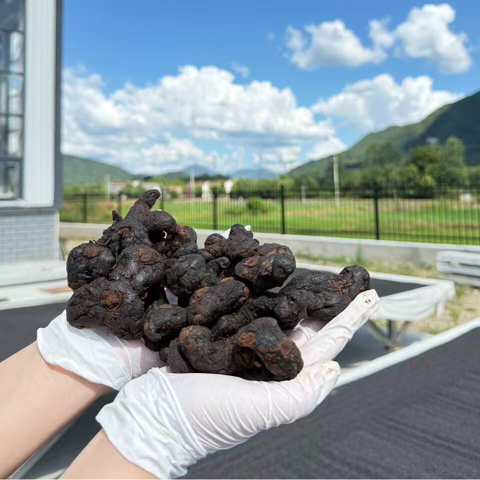 九华山黄精高山农家九蒸九晒多花黄精道地取材九制甄品