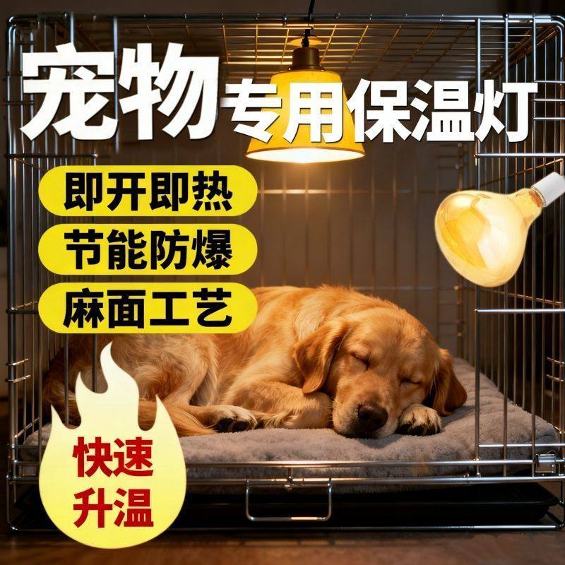 宠物狗狗猫咪家用取暖鹦鹉仓鼠幼鸟繁育保温箱保暖灯取暖器加热灯,畜牧/养殖物资,畜牧/养殖器械,淘宝优惠券,粉丝福利购,淘宝优惠卷