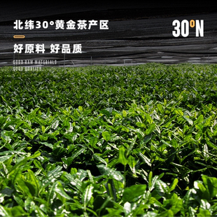 五十铃抹茶粉箬竹国产一级纯抹茶冲饮无添加蔗糖烘焙拿铁点茶