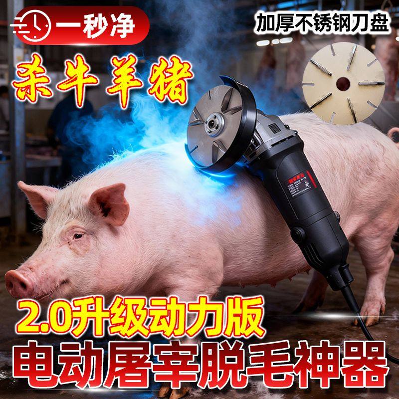屠宰220v专用杀猪机去猪毛神刮牛羊毛电动不锈钢刀盘猪毛神器,畜牧/养殖物资,畜牧/养殖器械,淘宝优惠券,粉丝福利购,淘宝优惠卷