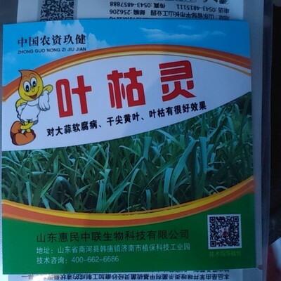 叶枯灵，治大蒜软腐病，每亩地打两桶水或者两遍，治黄叶干尖