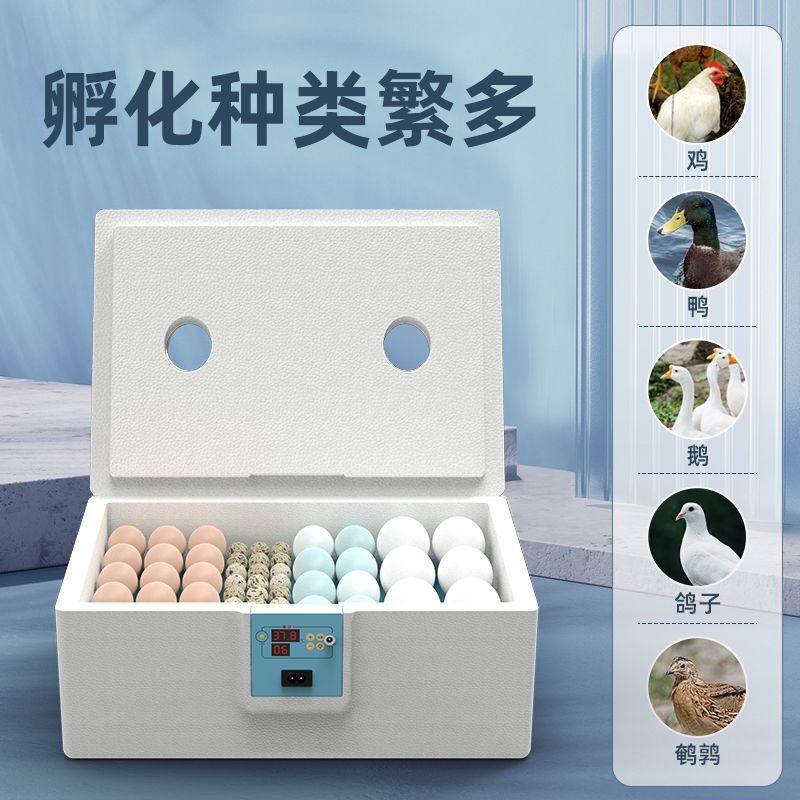 全自动智能水床孵化器鸡鸭鹅鸟类孵蛋器家用小型孵化机自动控温,五金/工具,电热工具,淘宝优惠券,粉丝福利购,淘宝优惠卷