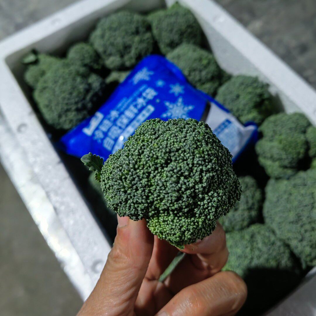 绿色食品【】湖北新鲜小西兰花青花菜小花朵花椰菜时令蔬菜