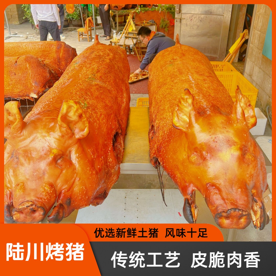 陆川烤土猪买1斤送1斤到手两斤脆皮金黄整只烤猪加热即食抽真空发